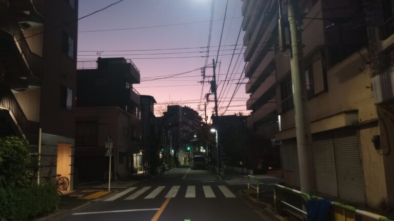 薄遇のカオスにおける行動解析