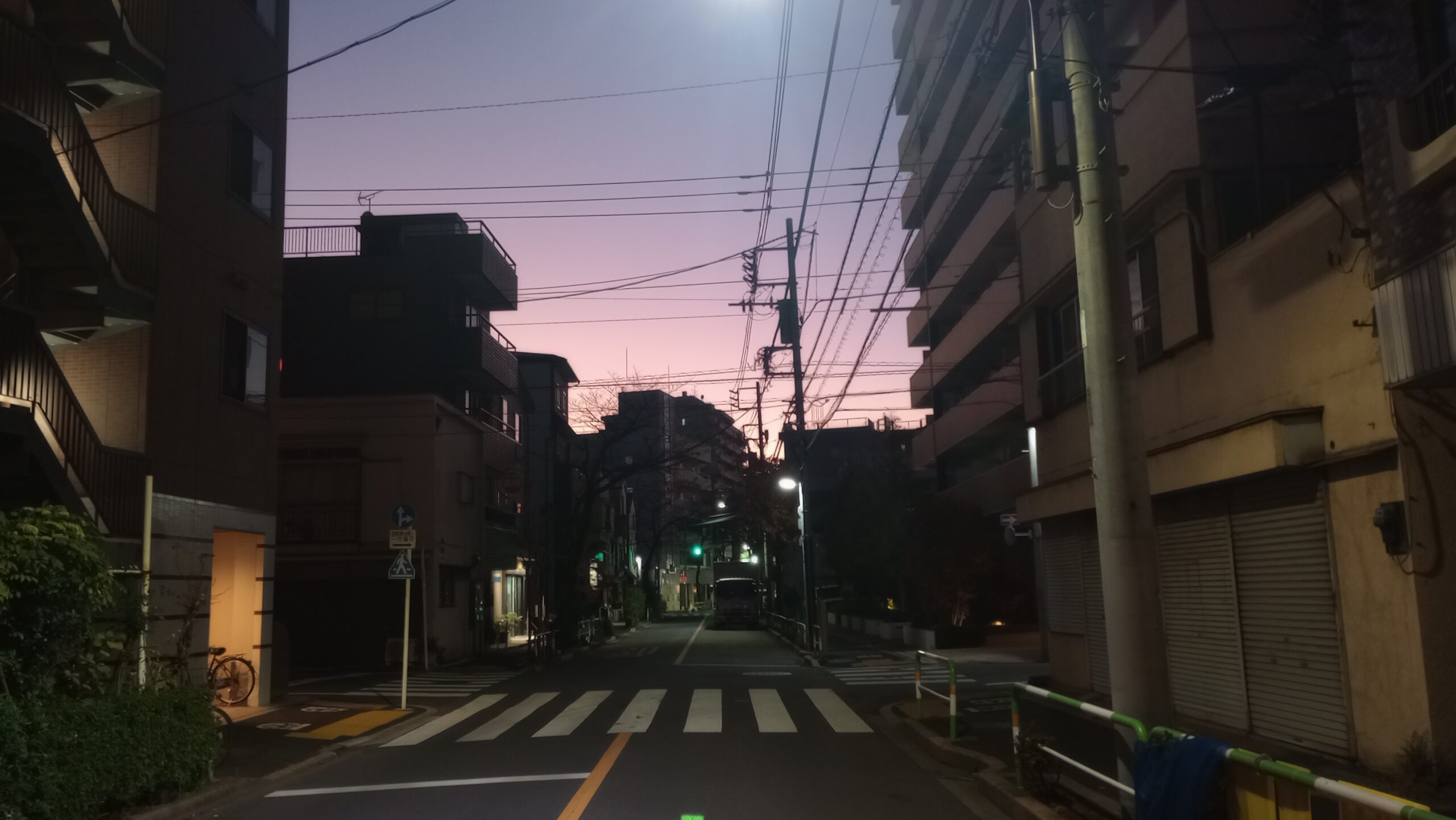 薄遇のカオスにおける行動解析