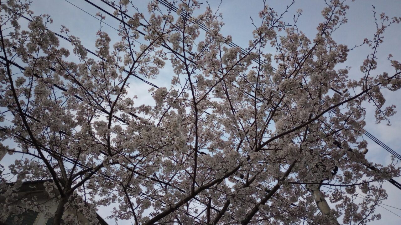 ちっぽけで在れ