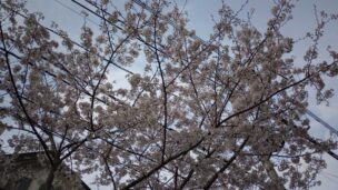 ちっぽけで在れ