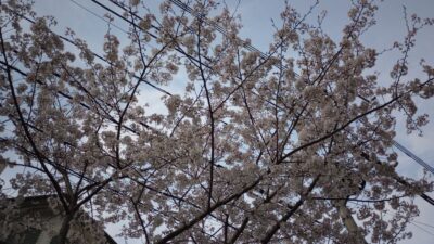 ちっぽけで在れ