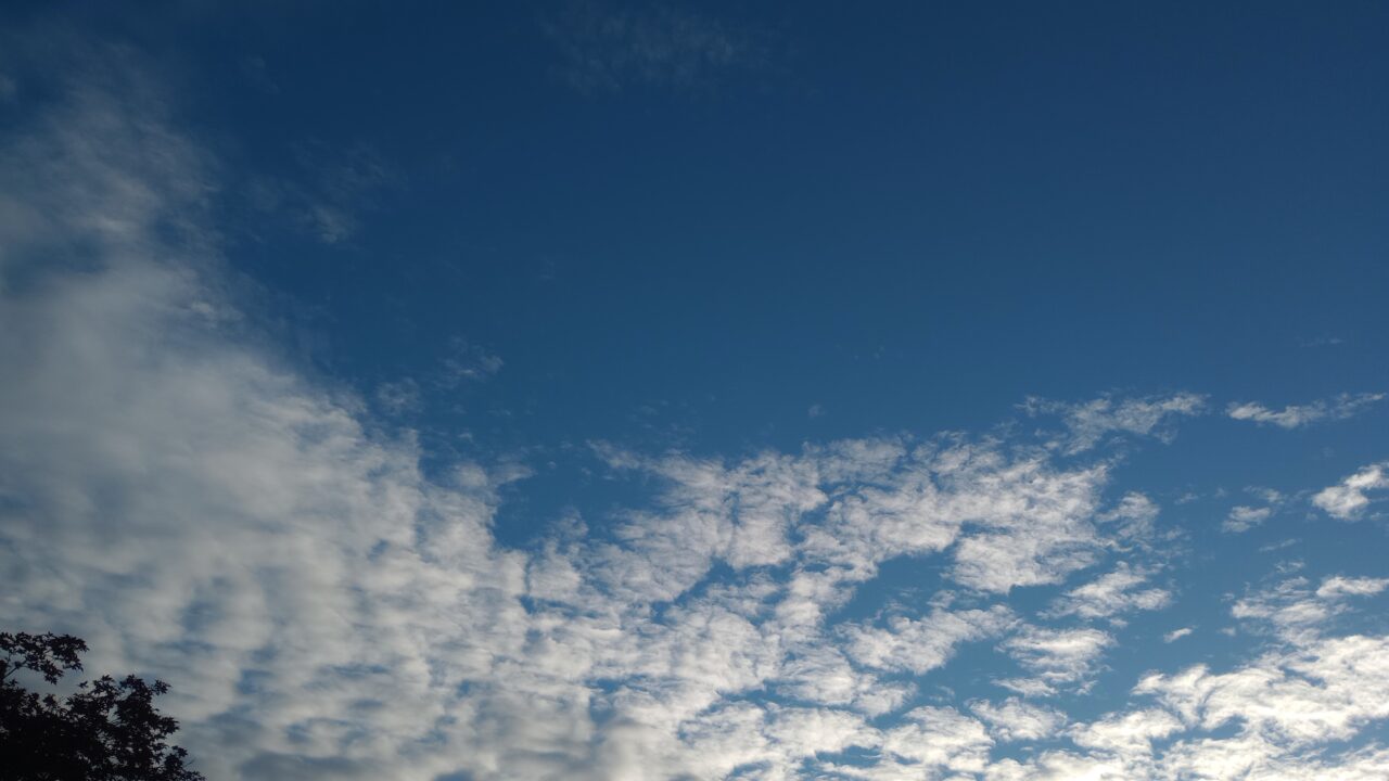 止そうか、な